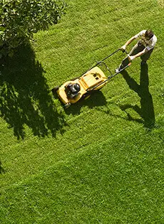 gardening