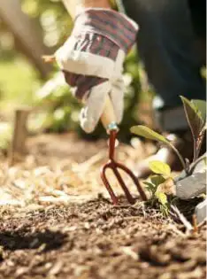 Bild von einem Gärtner